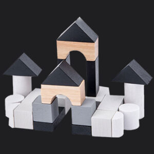 Early Childhood Cognitive Toys
