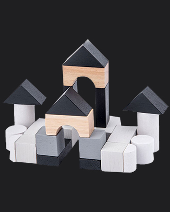 Early Childhood Cognitive Toys